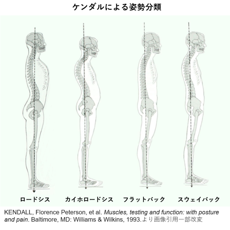 ダウンロード